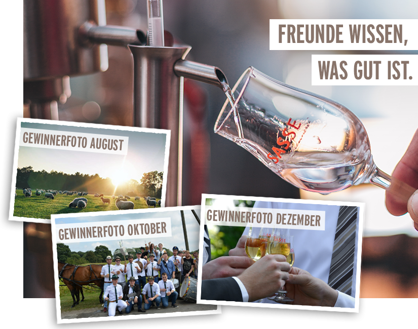 Fotowettbewerb - Dezember